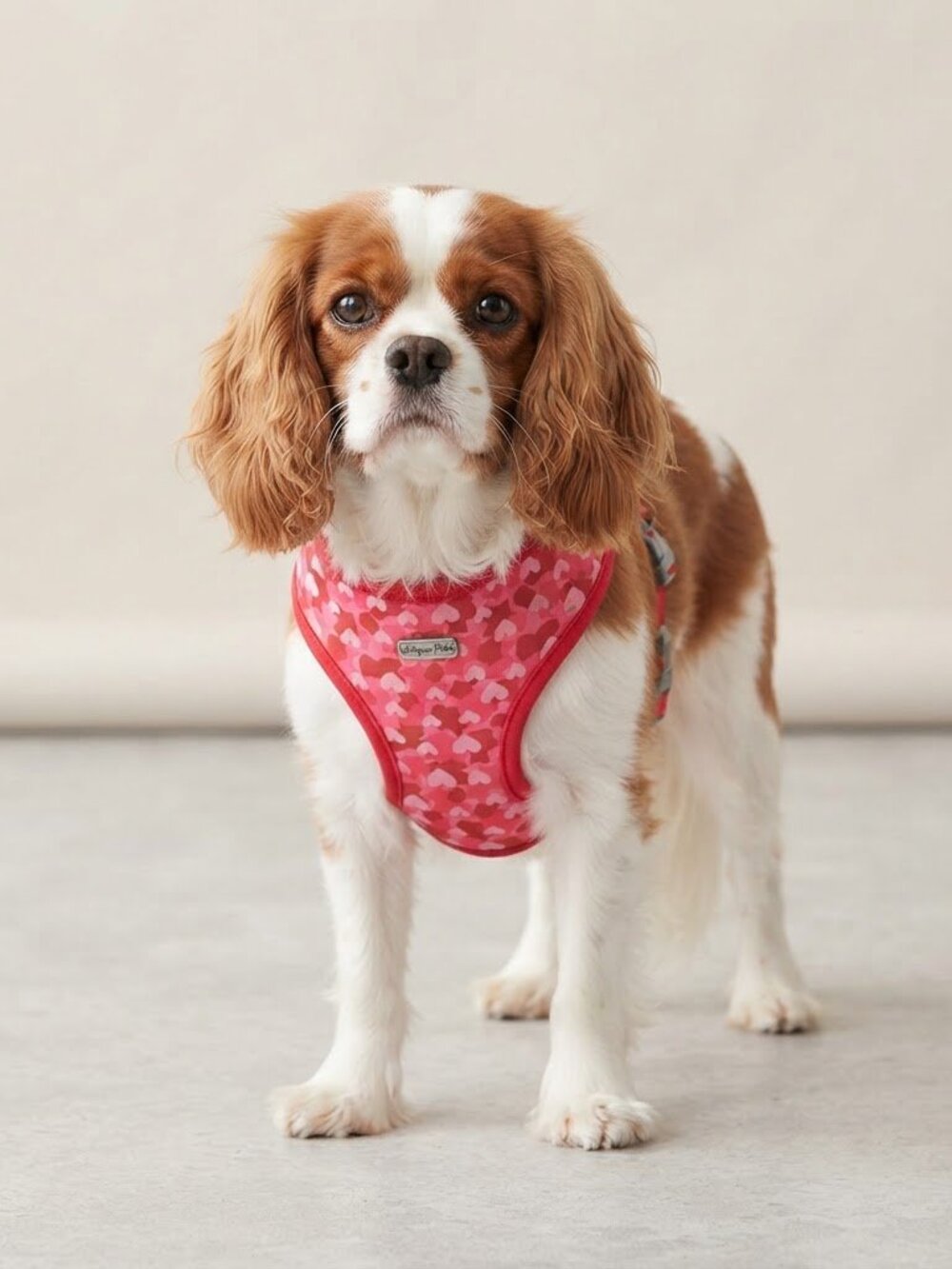 Unique Petz Pink Heart Dog‎ Harness